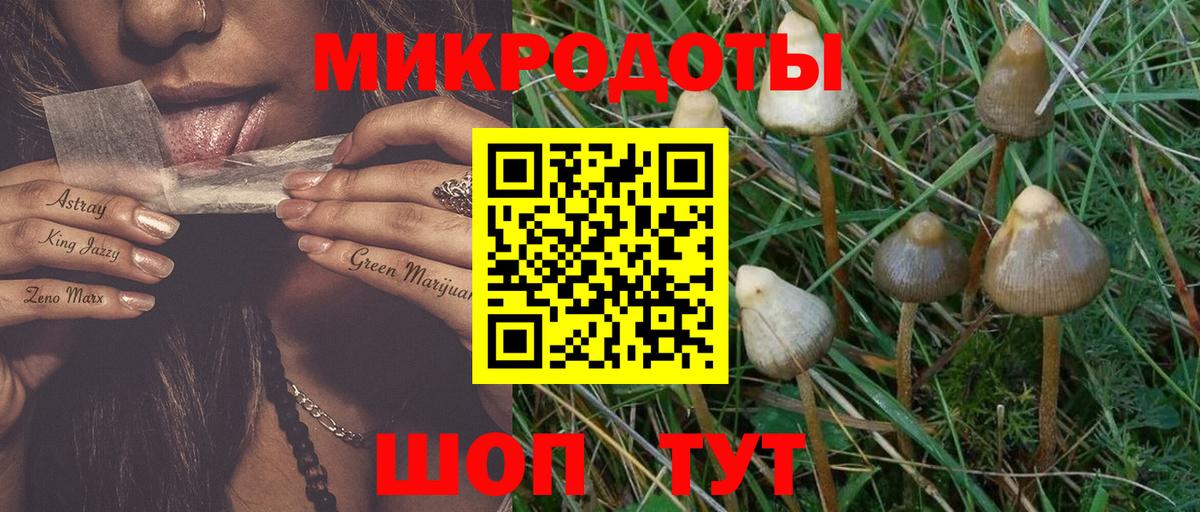 Ревда  Галлюциногенные грибы Magic Shrooms  Вход с VPN  Псилоцибиновые грибы Psilocybine cubensis 